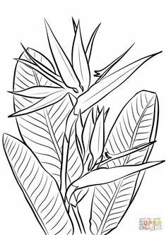 a black and white drawing of leaves