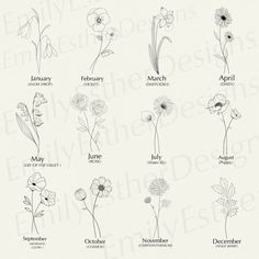 an image of flowers with the names of them in black and white on a white background