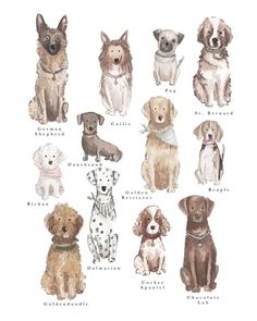 a bunch of dogs that are in different colors and sizes, with names on them