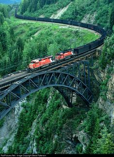 a long train traveling over a bridge in the middle of a lush green forest covered hillside