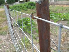 an old rusted metal fence is in the foreground