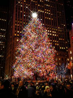 a large christmas tree is lit up in the city