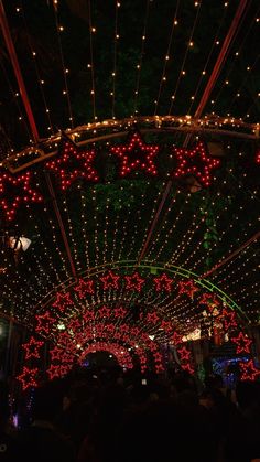 the entrance to an outdoor christmas light show