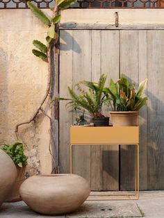 some plants that are sitting next to each other on a table in front of a wooden fence