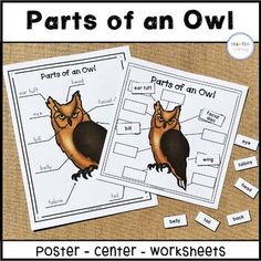 two posters with owls and parts of an owl