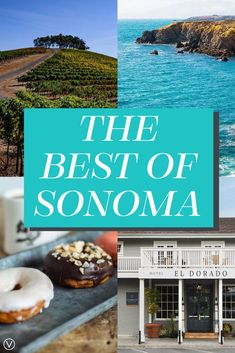 the best of sonoma with donuts and coffee in front of an ocean view