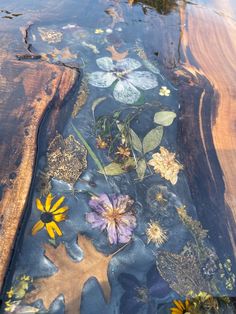 flowers and leaves are floating on the water