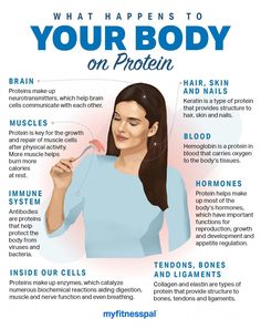 Here’s how every part of your body uses protein and what happens if you overeat. Protein Nutrition, Natural Detergent, Muscle Protein, Body Tissues, Muscle Tissue, Body On, Healthy Food Choices, What Happened To You, Sports Nutrition