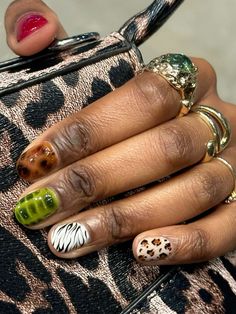 Mixed animal print croc leopaed print tortoise shell zebra print gel nail biab builder gel Animal Print Nails Short, Builder Gel Natural Nails, Alligator Print Nails, Funky Nails Inspo Summer, Brown Zebra Nails, Cheetah Print Duck Nails, Zebra Print Nails Designs, Croc Nail Design, Mixed Animal Print Nails