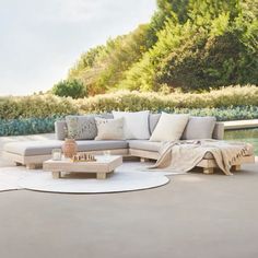 a couch sitting on top of a white rug next to a pool