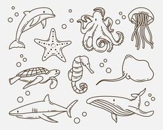 sea animals coloring pages for kids to print and color on the beach, under the sea