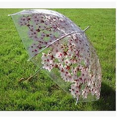 sakura transparente guarda-chuva transparente guarda-sombra do guarda-chuva planos retos retos de 5131804 2016 por €140.93 Bellows, Just For Fun, Enjoy Life, Umbrella, Rainbow, My Style, Fashion Design