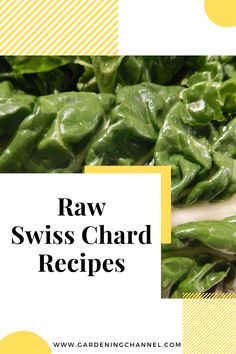 raw swiss chard recipe with text overlay that reads raw swiss chard recipes