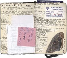 an open book with writing and pictures on the pages, including a small bird's head