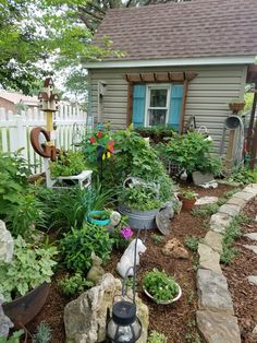 a garden with lots of plants and flowers in the front yard, next to a small house