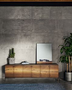 a modern living room with concrete walls and wooden furniture in the center, along with potted cacti