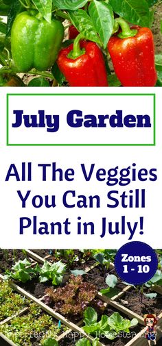 a garden with peppers growing in it and the words july garden all the veggies you can still plant in july