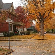 a street with houses and trees in the fall