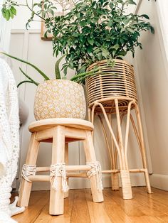 two stools with plants on them in front of a basket and planter next to the stairs