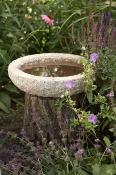 a bird bath sitting in the middle of a garden filled with purple flowers and greenery