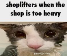 a black and white cat with the caption shoplifters when the shop is too heavy