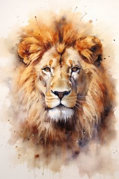 Beautiful Lion painted with watercolors. stock photo Lions Painting, Lion Paintings, Lion Art Painting, Lion Watercolor, Lion Watercolor Painting, Watercolor Lion Painting Easy, Acrylic Lion Painting, Lion Face Drawing