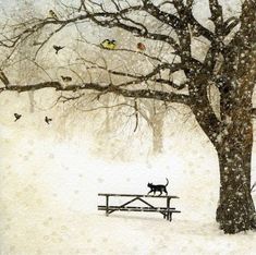 a cat sitting on a bench in the snow near a tree with birds flying around