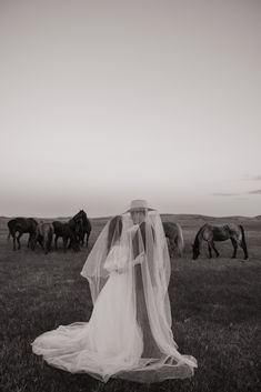 a woman in a wedding dress with horses behind her on the grass, looking down at her veil