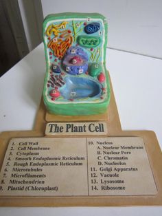 the plant cell is on display in front of a plaque that says it's important