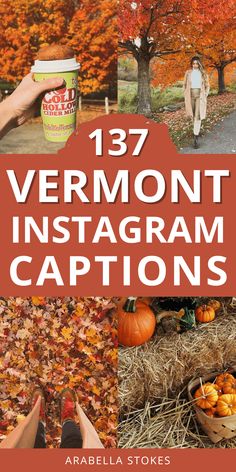 the cover of vermont instagram captions with fall foliage and pumpkins in the background