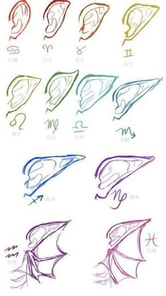 the different types of ear shapes and their corresponding colors are shown in this drawing lesson