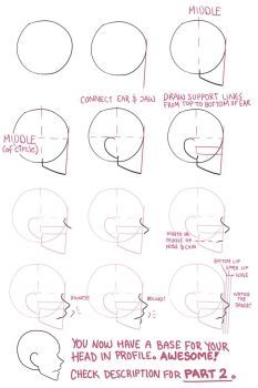 how to draw the human head from different angles and directions for each part of the face