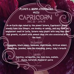 Herbs For Capricorn, Herbs Of Capricorn, Capricorn Herbs, Capricorn Magic, January Magick