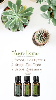 Use these Immune Boosting Essential Oil Diffuser Blends at home, in the car or at work to help your body fight off viruses and stay healthy. Immune Boosting Diffuser Blends, Smell Fresh And Clean, Lilin Aroma, Rosemary Tea, Doterra Diffuser Blends