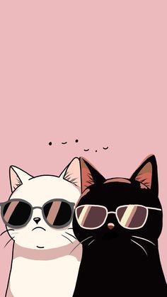 two cats wearing sunglasses are sitting next to each other