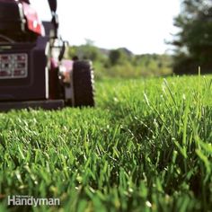 a lawn mower cutting the grass on a sunny day