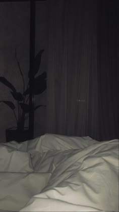 an unmade bed with white sheets and a plant in the corner