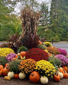 an arrangement of pumpkins, mumins and other flowers in the middle of a garden