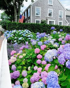 the flowers are blooming on the side of the road in front of the house