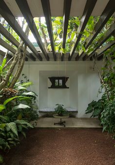 the inside of a house with trees and plants