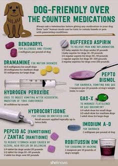 a poster describing the benefits of dog - friendly medicationss for dogs and their owners