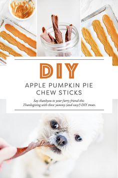 the cover of diy apple pumpkin pie chew sticks