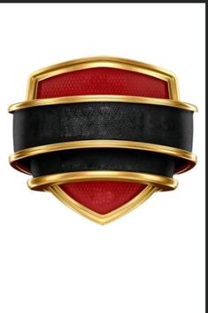 a red and black belt with gold trim