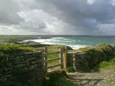 an open gate leading to the ocean with storm clouds in the sky over it and green grass on either side