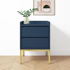 a blue nightstand with a potted plant on it in front of a white wall