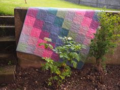 a patchwork quilt sitting on the ground next to a plant