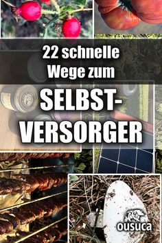 Lerne die schnellsten Wege zur Selbstversorgung. Werde Selbstversorger durch diese einfache Anleitung mit 22 Schritten. Auch für Stadtbewohner geeignet. Survival Tips, Zero Waste, Quick Saves