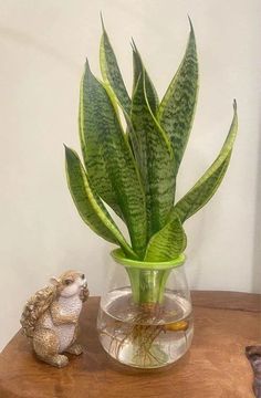 a plant in a glass vase on top of a table next to a small toy hedgehog