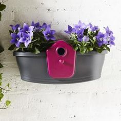 purple flowers are growing in a gray flower pot