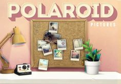 an image of polaroid pictures on a bulletin board with a camera and potted plant